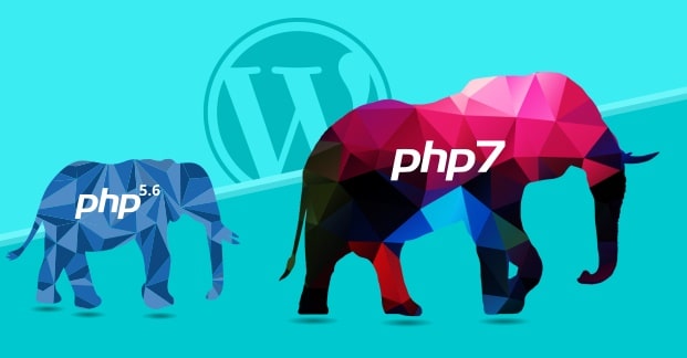 WordPress PHP Versiyon Güncelleme Nasıl Yapılır?