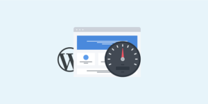 WordPress Hız - WordPress Speed