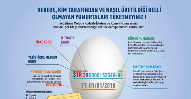 Yumurta - Yumurta Kodları - Yumurta Şifreleri