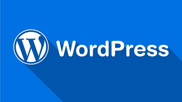 WordPress URL Kaldırma - WordPress Yorum Alanını Düzenleme - WordPress İpucu