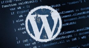 WordPress - WordPress Altbilgi Kaldırma