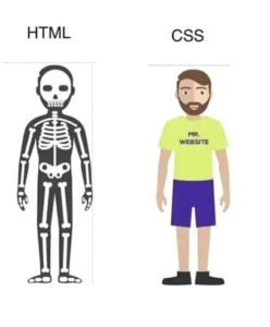 HTML - CSS - Web Tasarım