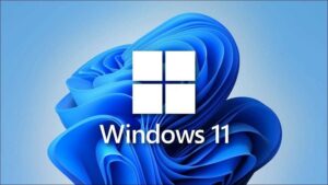 Microsoft - Windows 11