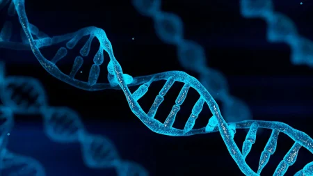 Kadınlar İlişkiye Girdiği Erkeğin DNA’sını Taşır Mı?