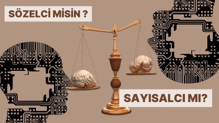 Sözelci Mi, Sayısalcı Mı Daha Zeki?