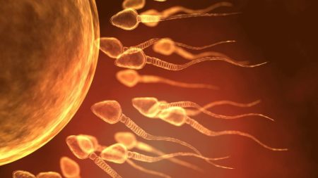 Sperm Yutarsanız Ne Olur? Merak Edilenler ve Gerçekler